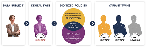 Variant Twins High-Fidelity Data Products for Optimum Performance and Privacy