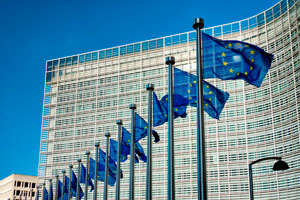 New European Parliament Motion Urges Review of Data Protection Practices