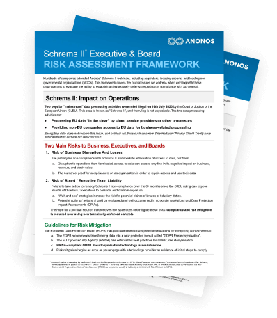 Executive & Board Risk Assessment Framework