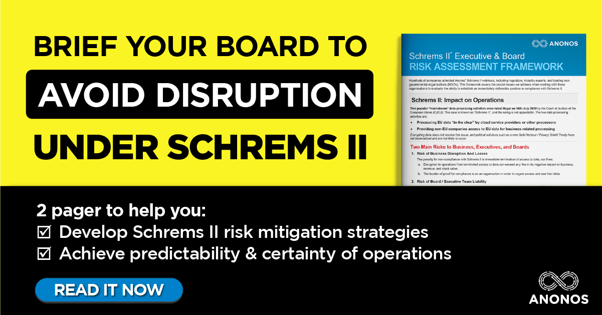 Brief Your Board To Avoid Disruption Under Schrems II