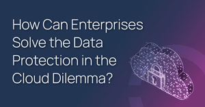 How Can Enterprises Solve the Data Protection in the Cloud Dilemma?