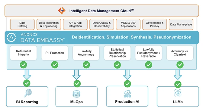 Effortlessly integrate Anonos with Informatica IDMC