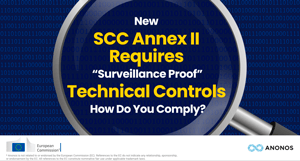 New SCCs Impose Joint &amp; Several Liability &amp; Require Surveillance Proof Technical Controls. Are You Ready to Comply? NOW?