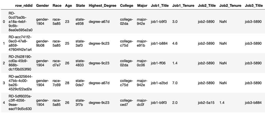 Variant Twin dataset